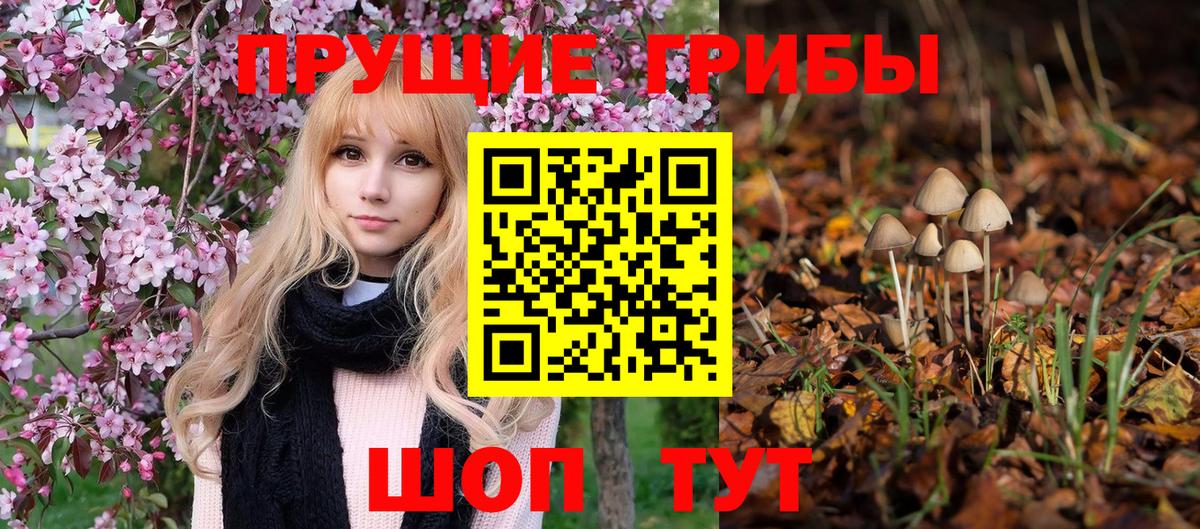 Благодарный  Галлюциногенные грибы прущие грибы  Вход с VPN 