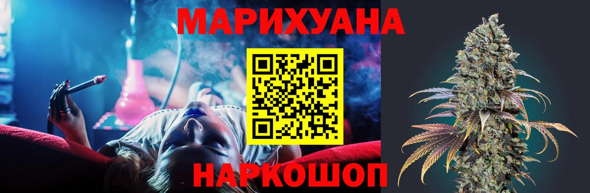Каннабис план  Вход с VPN  Каннабис сатива  Благодарный 